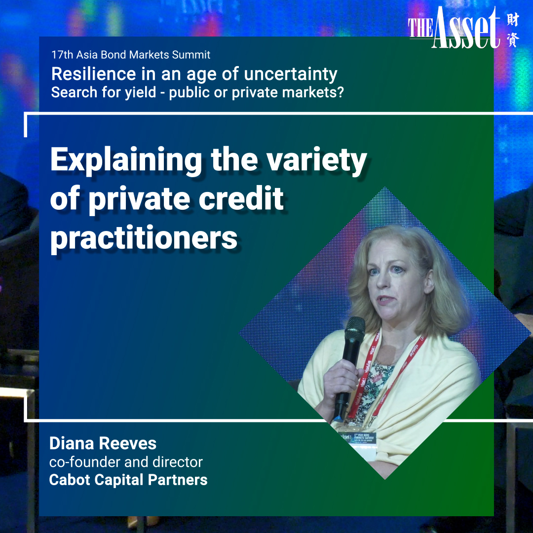 Explaining the variety of private credit practitioners