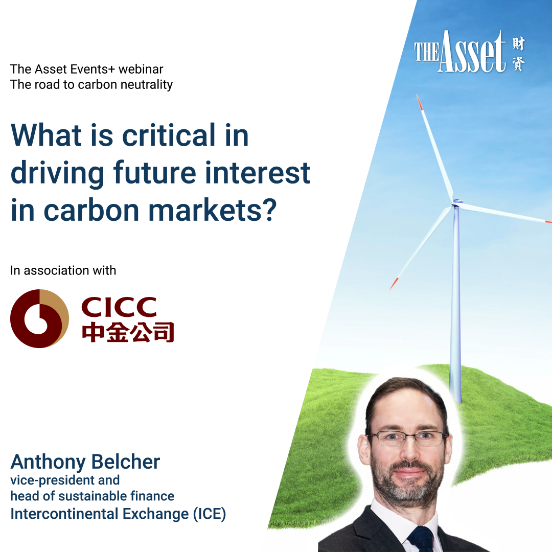 What is critical in driving future interest in carbon markets?
