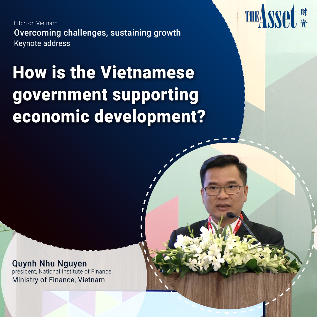 How is the Vietnamese government supporting economic development?