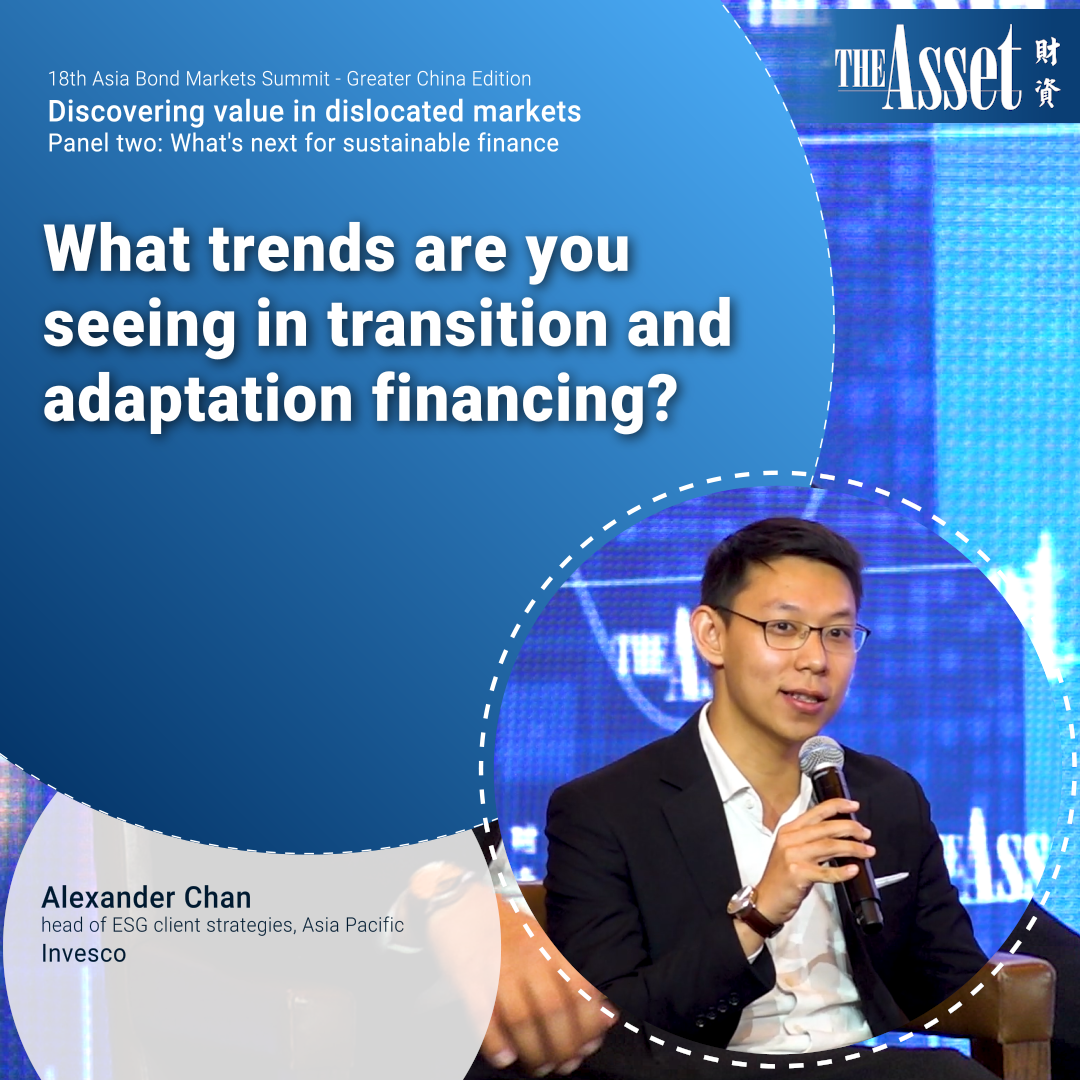 What trends are you seeing in transition and adaptation financing?