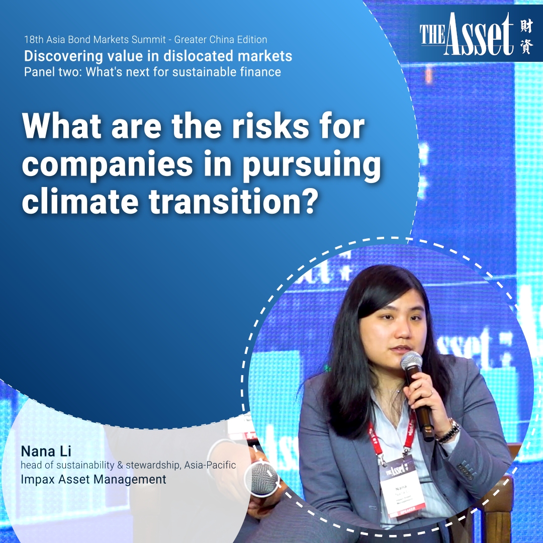 What are the risks for companies in pursuing climate transition?