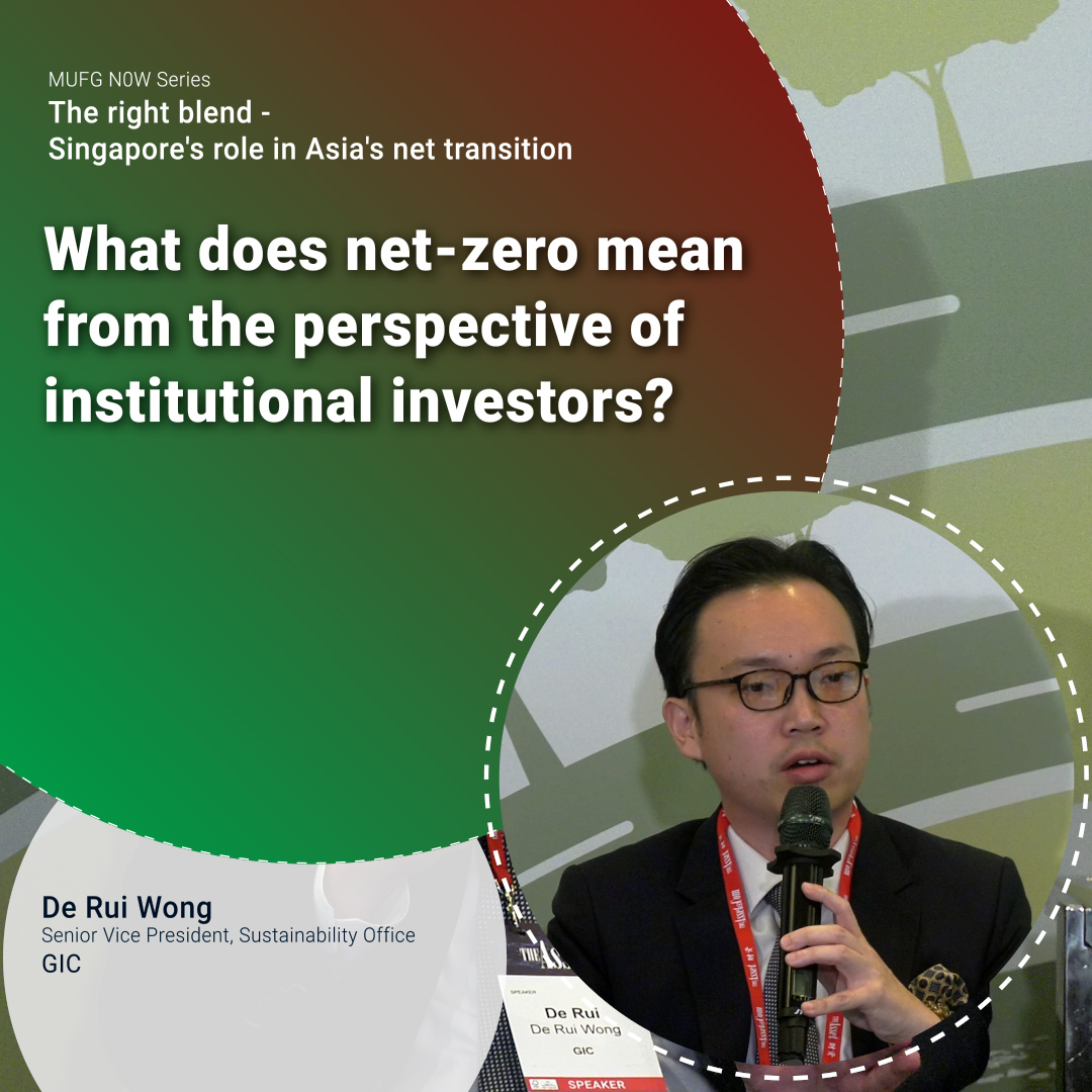 What does net-zero mean from the perspective of institutional investors?